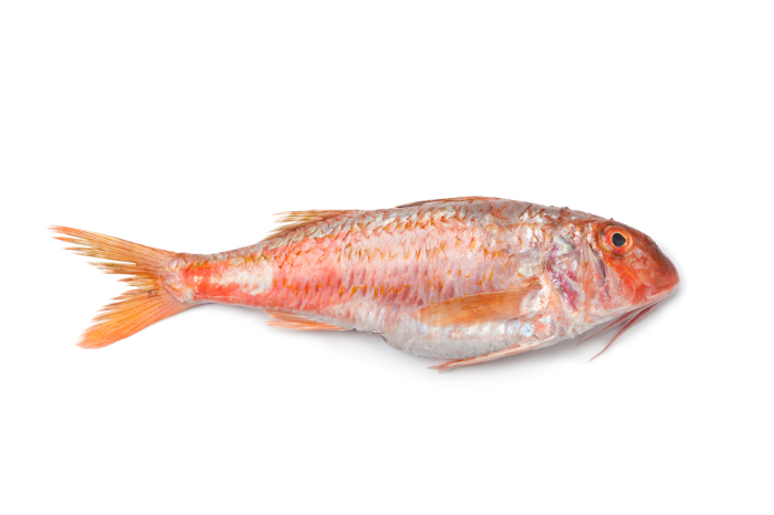 red mullet