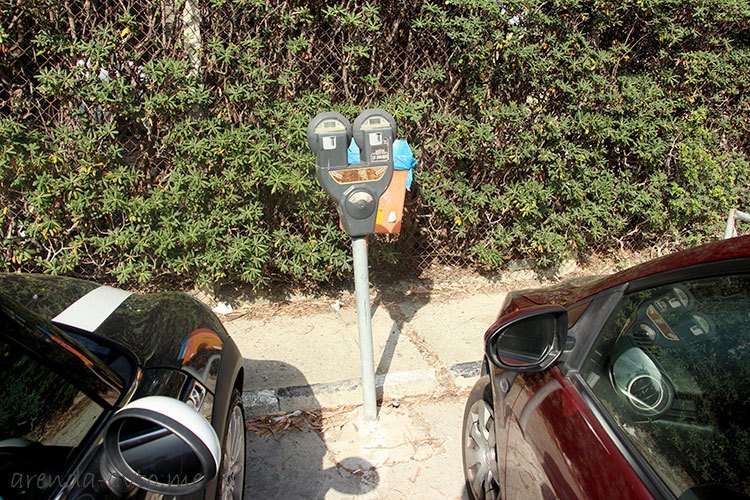 Один из видов паркоматов на Кипре