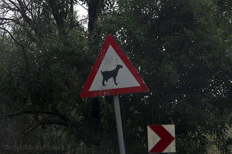 Аренда машины на Кипре: цены, условия, отзывы