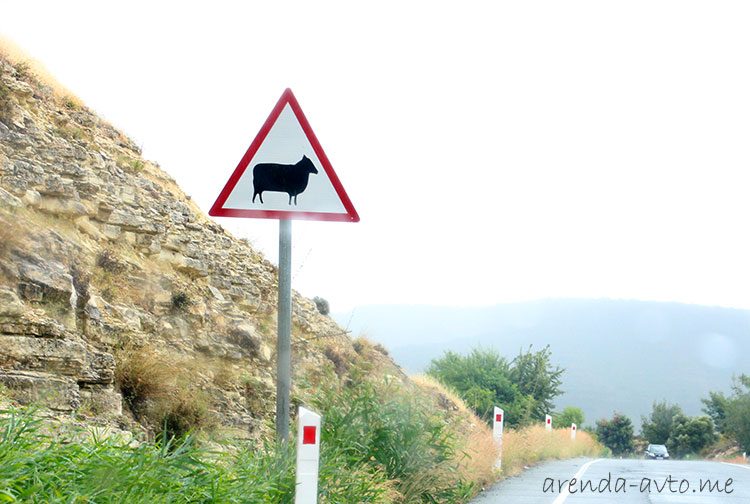 Аренда машины на Кипре: цены, условия, отзывы