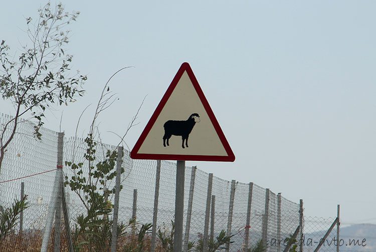 Аренда машины на Кипре: цены, условия, отзывы