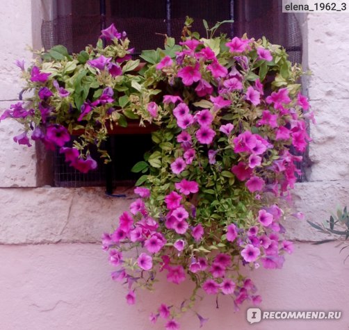 Греция, о. Крит, г. Ретимно фото