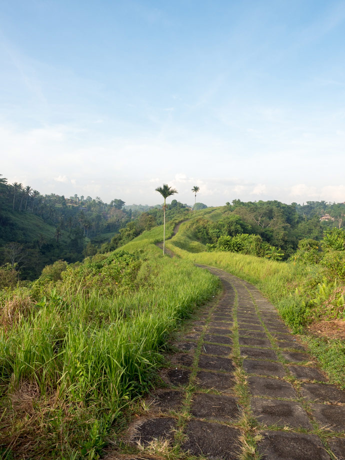 Ubud Scenery