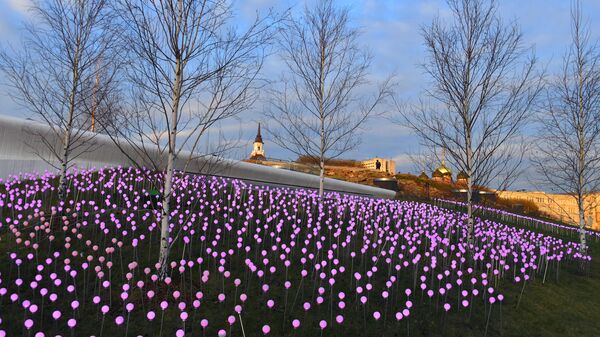 Природно-ландшафтный парк Зарядье в Москве. Декабрь 2019