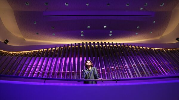 Генеральный директор концертного зала Зарядье Ольга Жукова