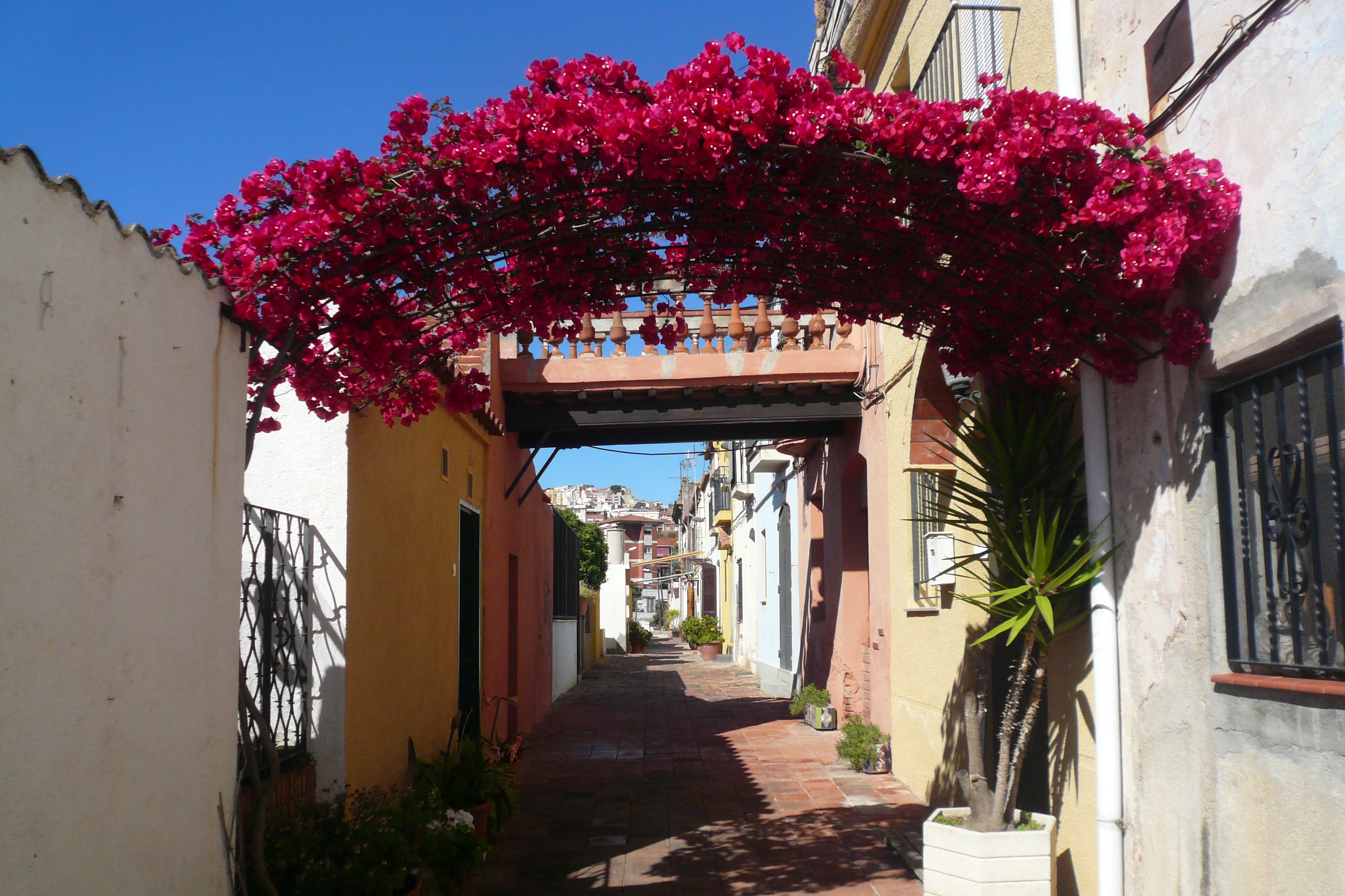 Барселона, Carrer d’Aiguafreda. Древняя узкая улица с арками, оплетенными цветами, сохранилась неизменной