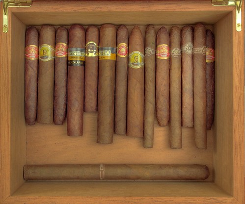 Cigars in a Humidor