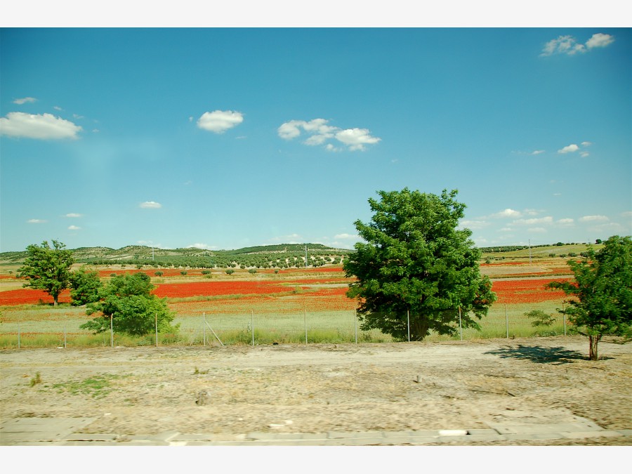 Толедо - Фото №42