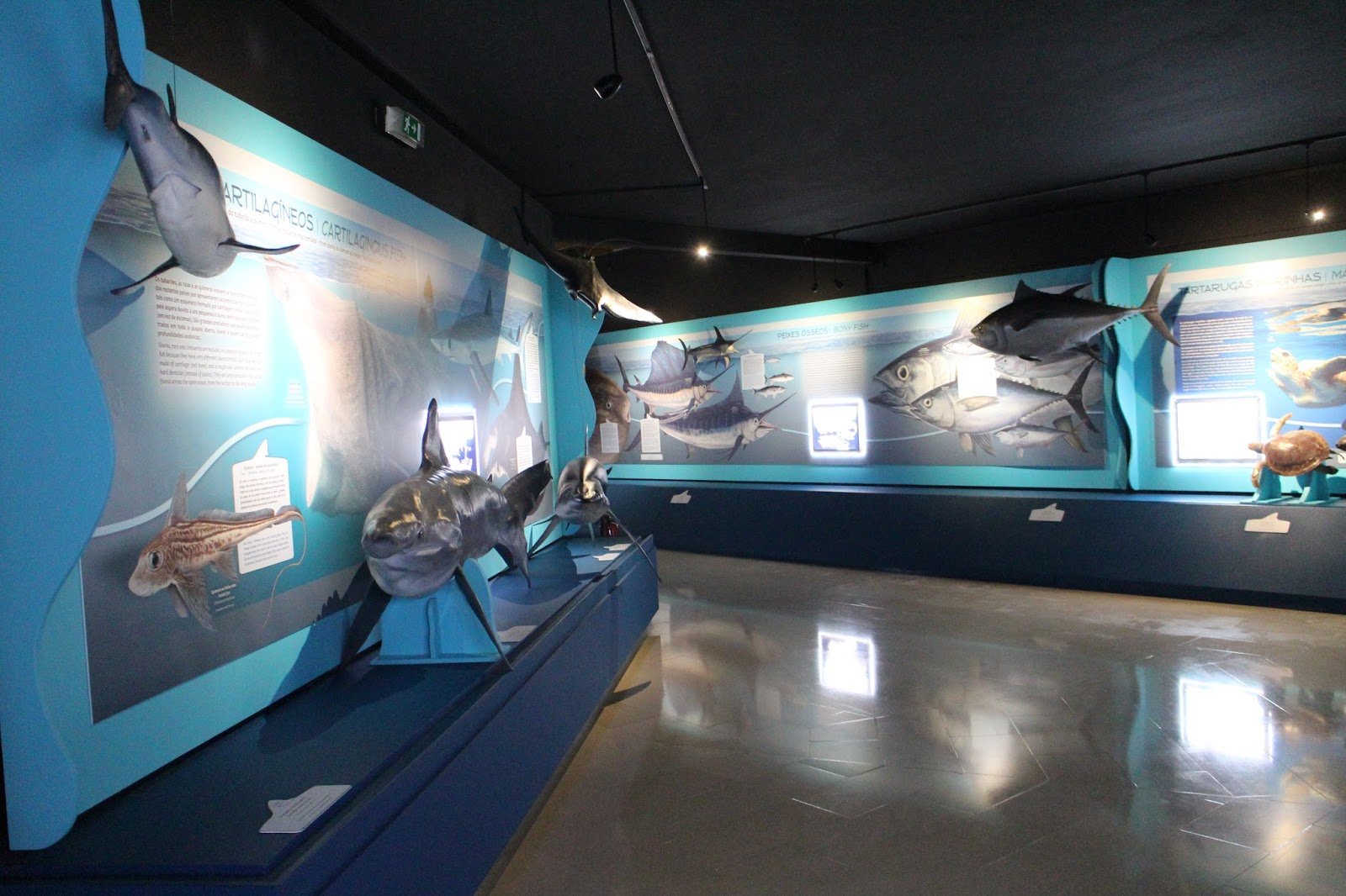 Морской музей в Кашкайш