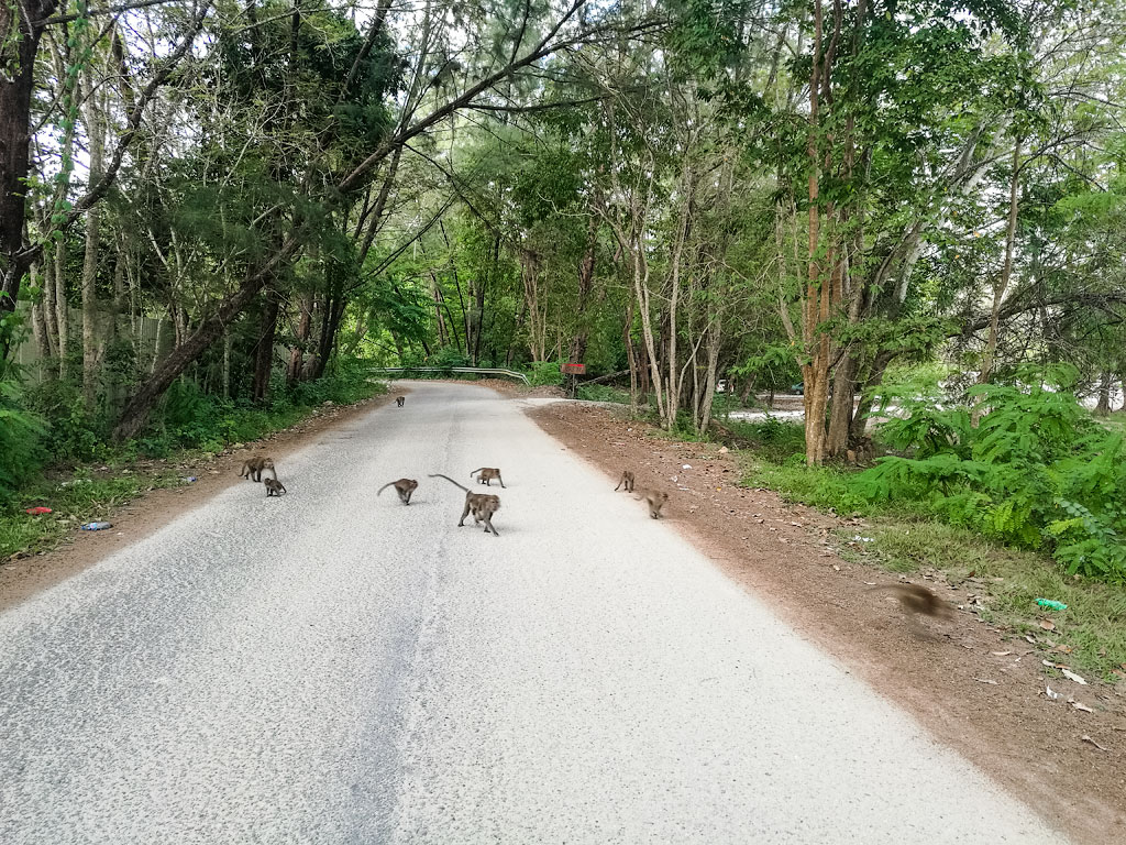 IMG_20161229_175406.jpg IMG_20161229_175406.jpg