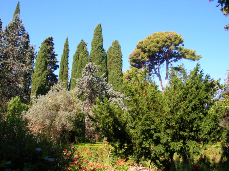 Картезианский монастырь в Вальдемоссе, Майорка