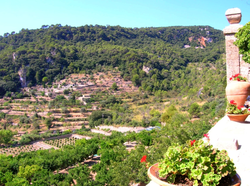 Картезианский монастырь в Вальдемоссе, Майорка