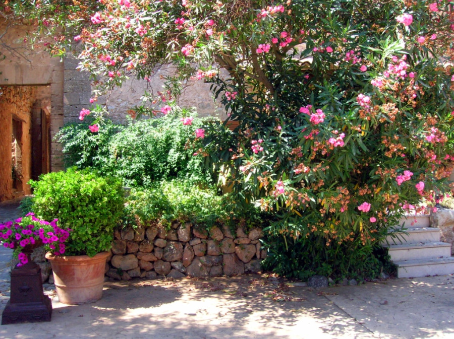 Усадьба, Майорка