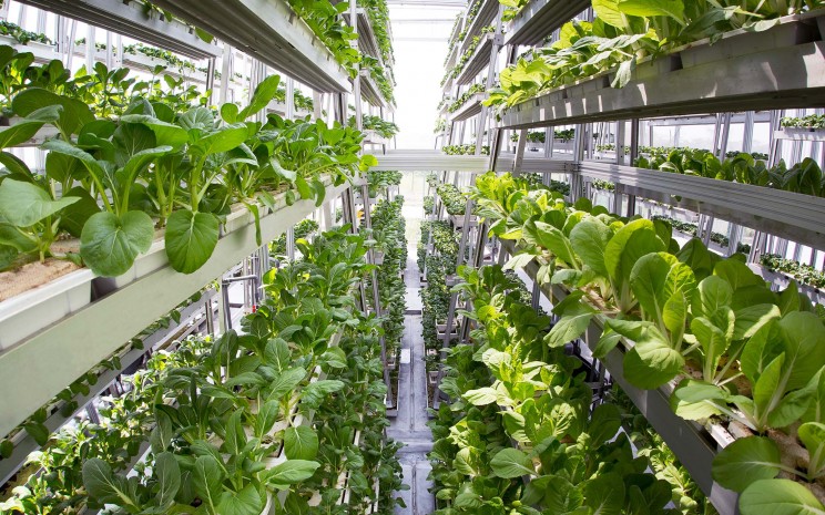 13 Vertical Farming Innovations That Could Revolutionize Agriculture 13 Vertical Farming Innovations That Could Revolutionize Agriculture