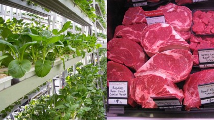 13 Vertical Farming Innovations That Could Revolutionize Agriculture 13 Vertical Farming Innovations That Could Revolutionize Agriculture