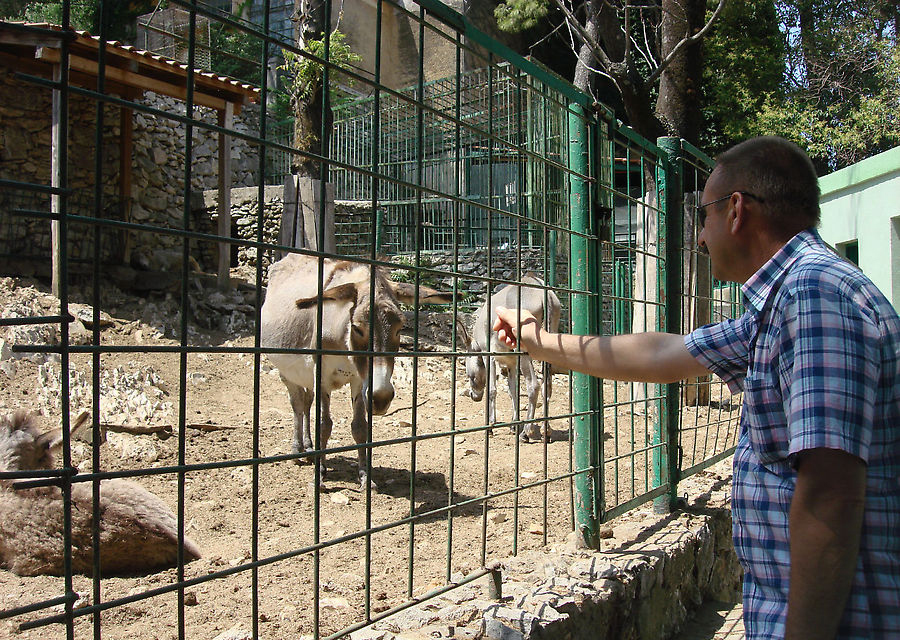 В зопарке в парке Марьян