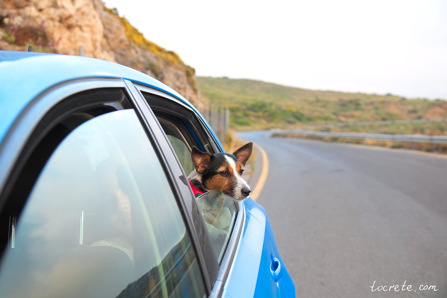 Аренда авто на Крите