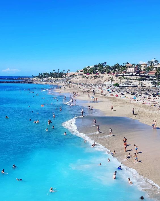 f2168644ad63b7fe1c2430b8fec78779