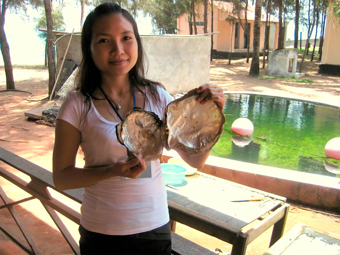 Жемчужные фермы