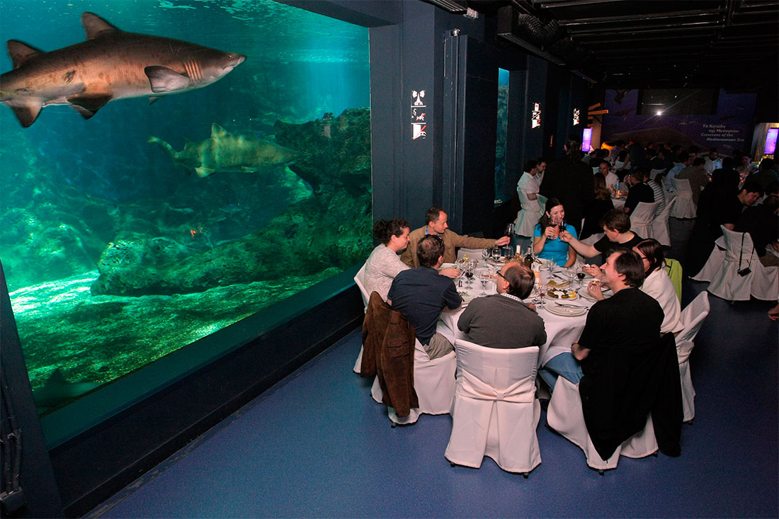 Аквариум Крита
