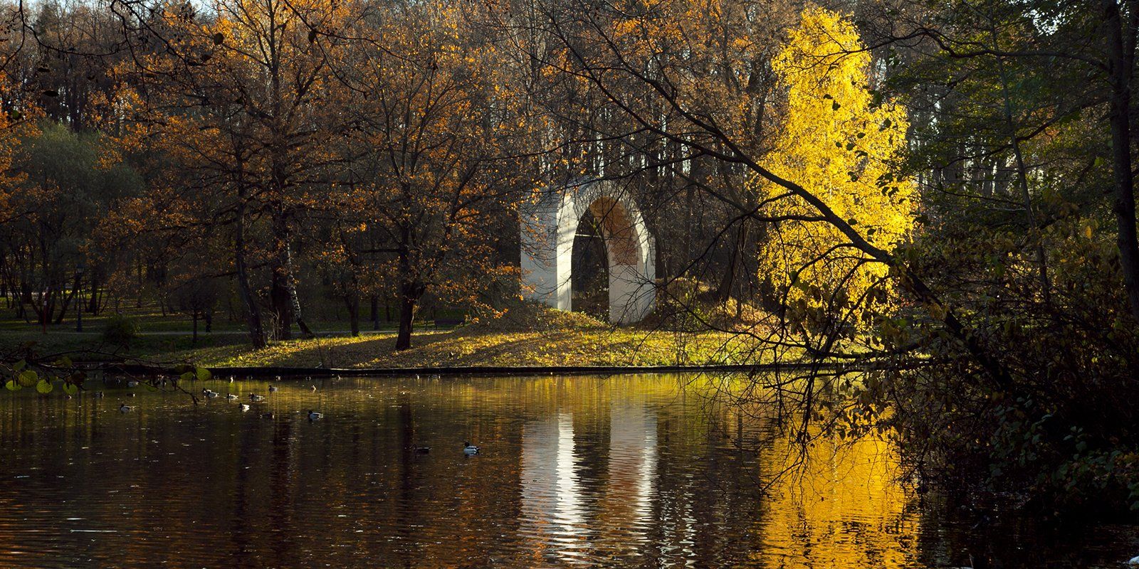 Фото: mos.ru. Максим Денисов