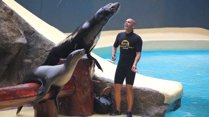 Loro Parque Tours from Las Palmas