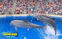 The Dolphinarium at Aqualand in Tenerife