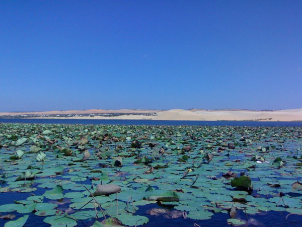 Озеро Лотосов, Фантьет